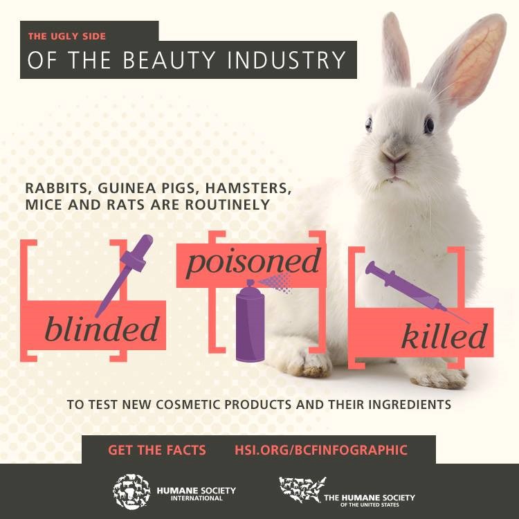 ERIN KAY WILLIAMS Beauty's Dark Secret; Animal Testing By Big Brands